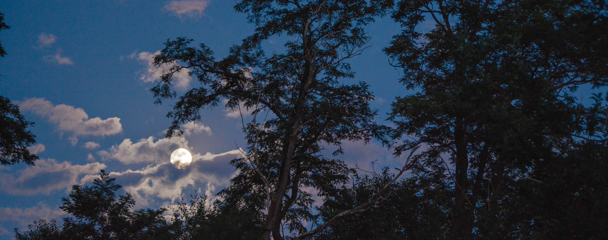 Chelle  Geisel Photography